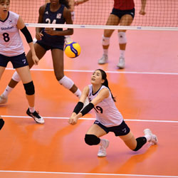 How to Be Successful When Betting on Volleyball