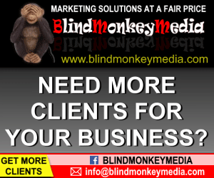 BlindMonkeyMedia Marketing Services