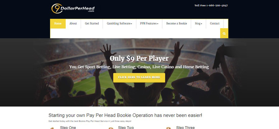 9DollarPerHead.com Sportsbook Pay Per Head Review