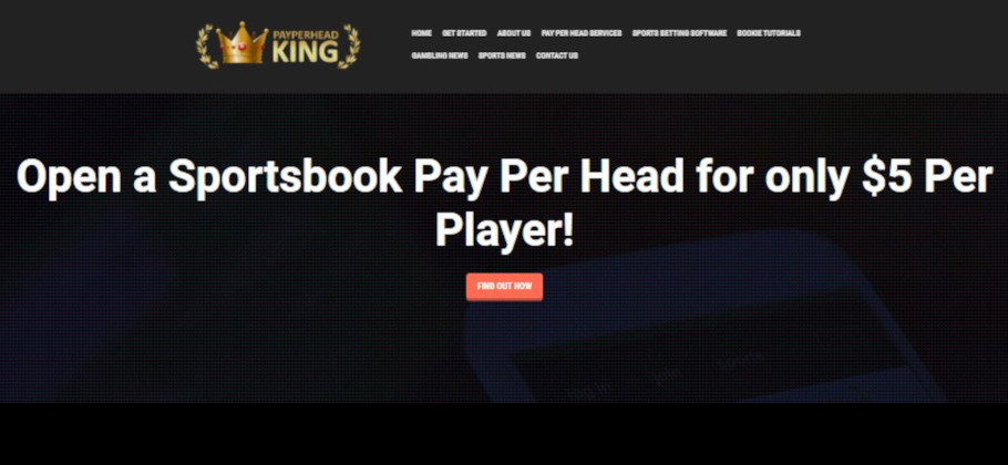 PayPerHeadKing.com 스포츠북 헤드 리뷰당 지불